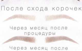 Напыление бровей — фото до и после, что это такое, сколько держится, отзывы