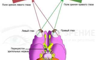 Что такое бинокулярное зрение