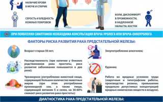 Рак предстательной железы: как не пропустить и что делать для профилактики