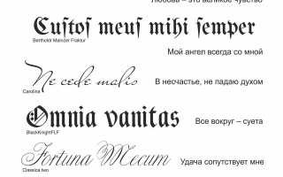 Татуировки надписи на латыни