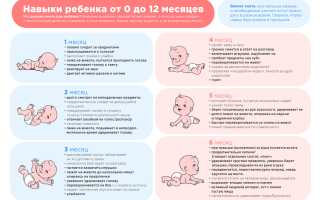 Развитие ребенка в 3-6 месяца