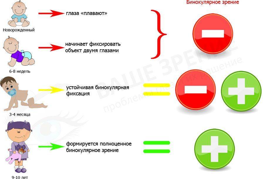 Бинокулярное зрение у грудничков